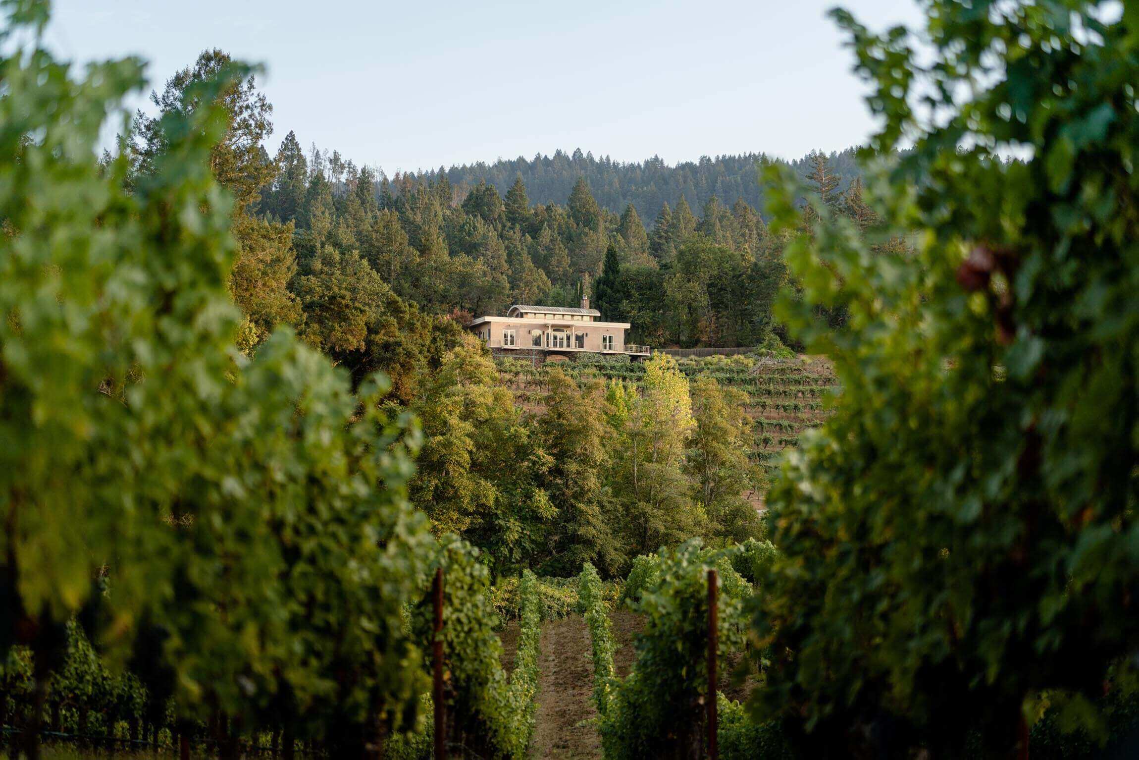 View of Diamond Creek Winery from vineyard